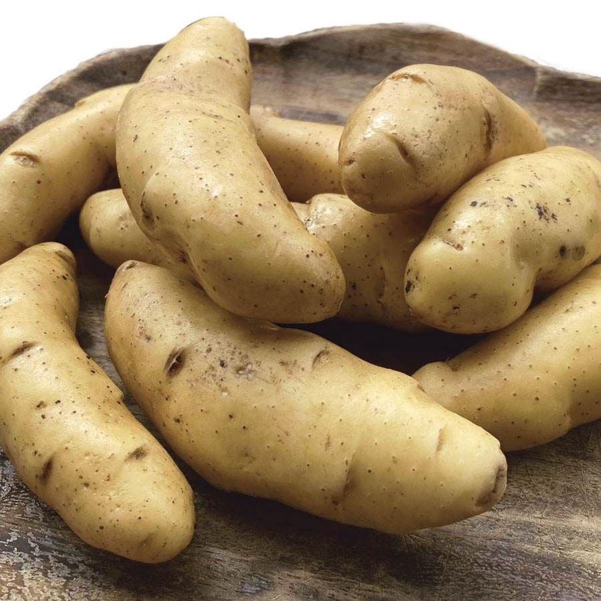 Austrian Crescent Fingerling Potato - 2 Pound Bag