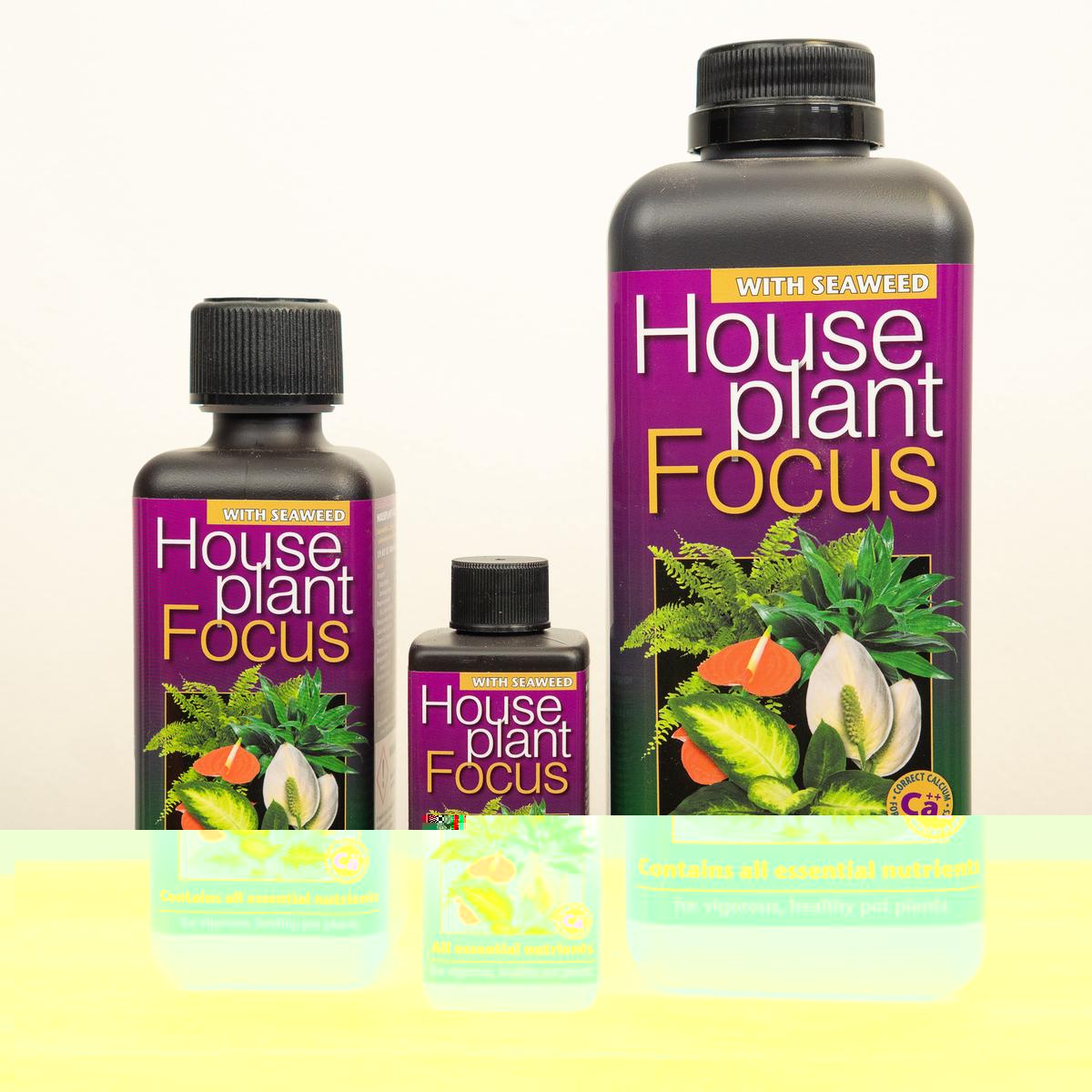 Houseplant Focus - Plant Food