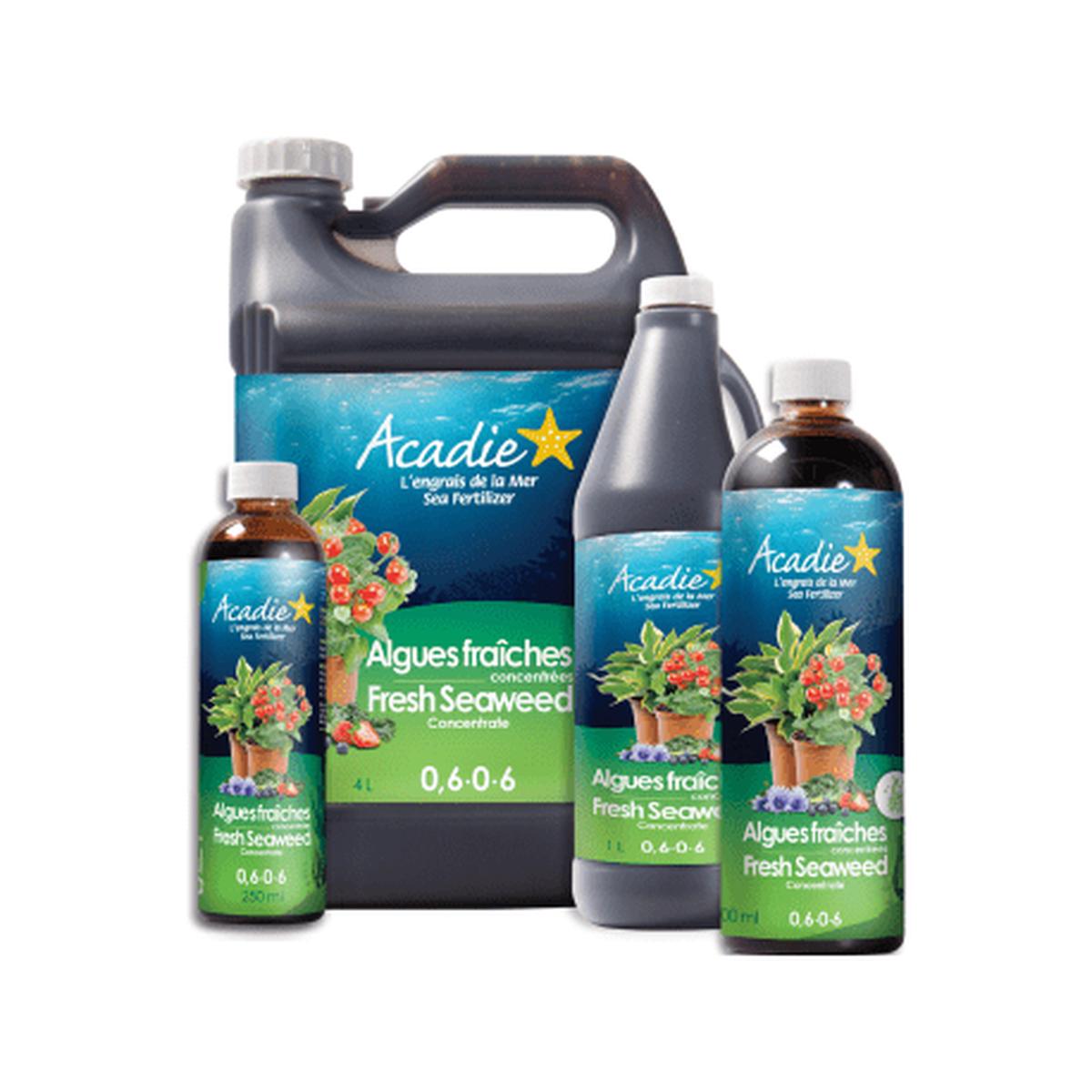 Acadie Fresh Seaweed Concentrate 0.6-0-6