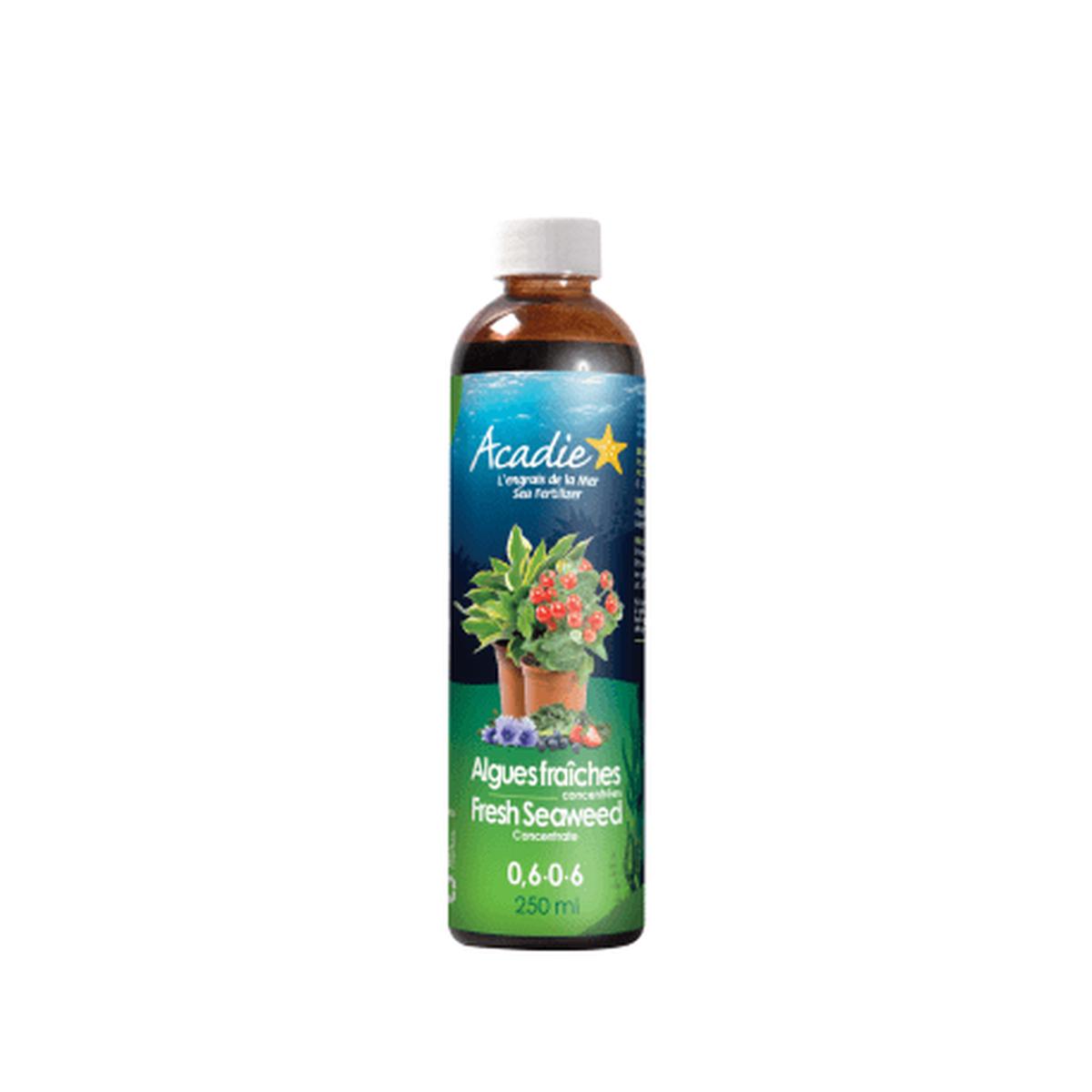 Acadie Fresh Seaweed Concentrate 0.6-0-6 - 250ml