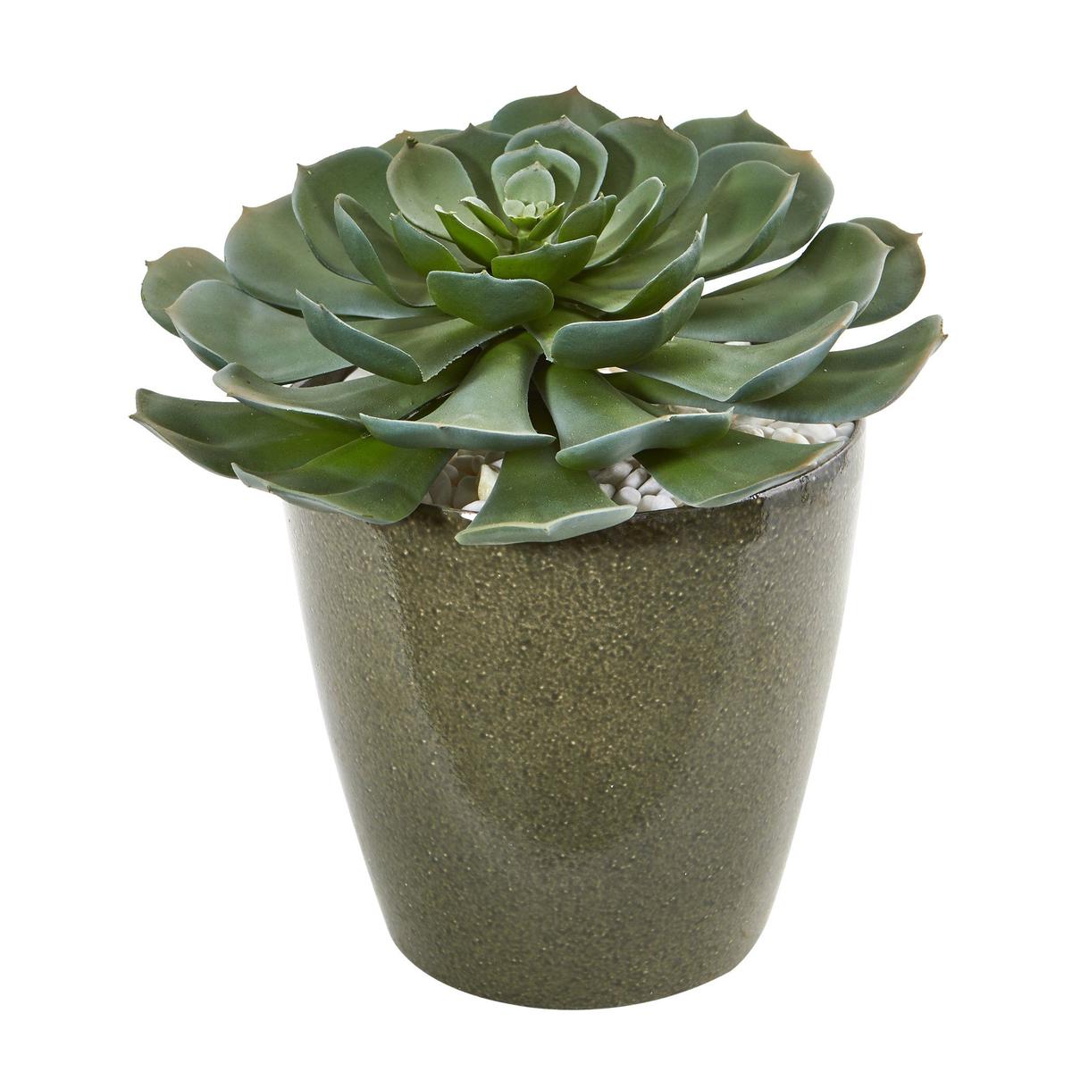 12 Giant Echeveria Succulent Artificial Plant in Planter